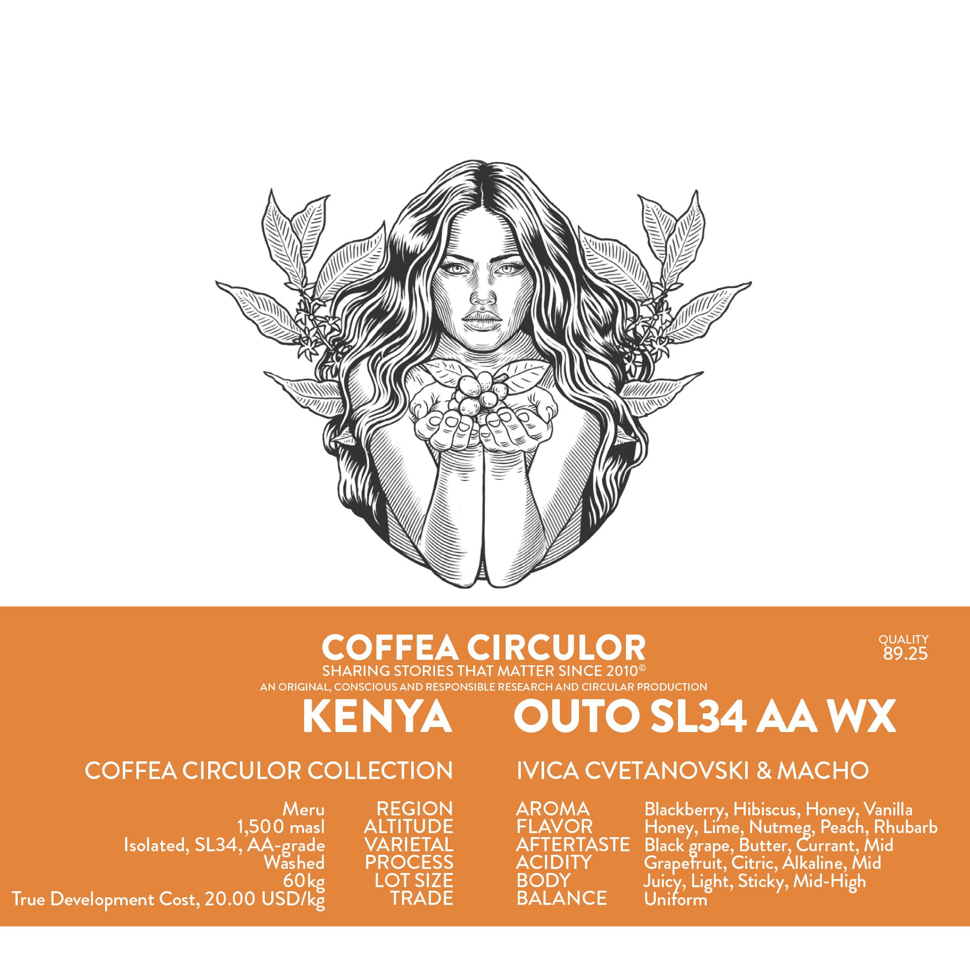 Kenya Coffea Circulor Outo Isolated SL34 AA Washed WX