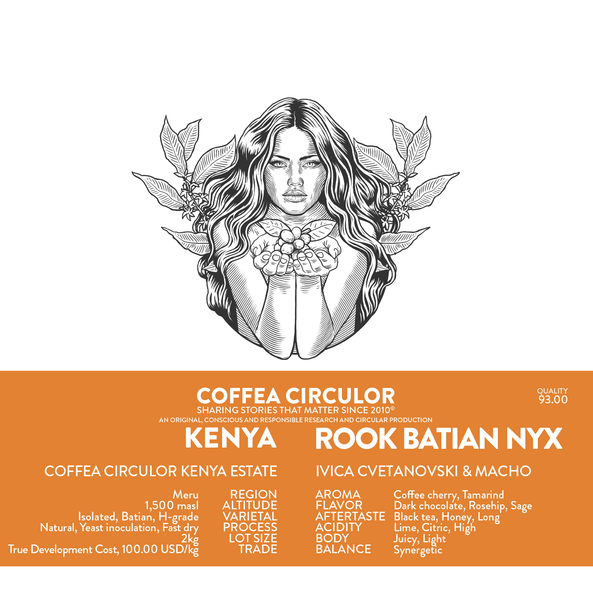 Kenya Coffea Circulor Rook Isolated Batian NYX