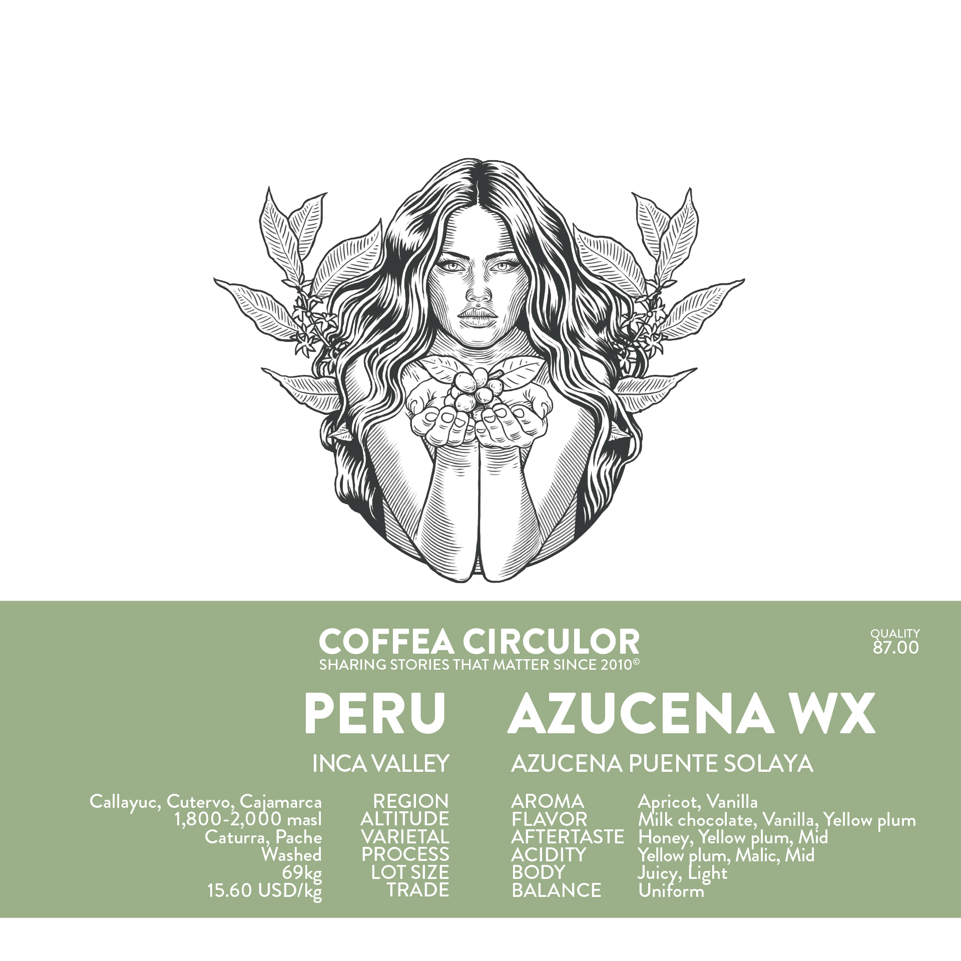 Peru Azucena Caturra Pache WX