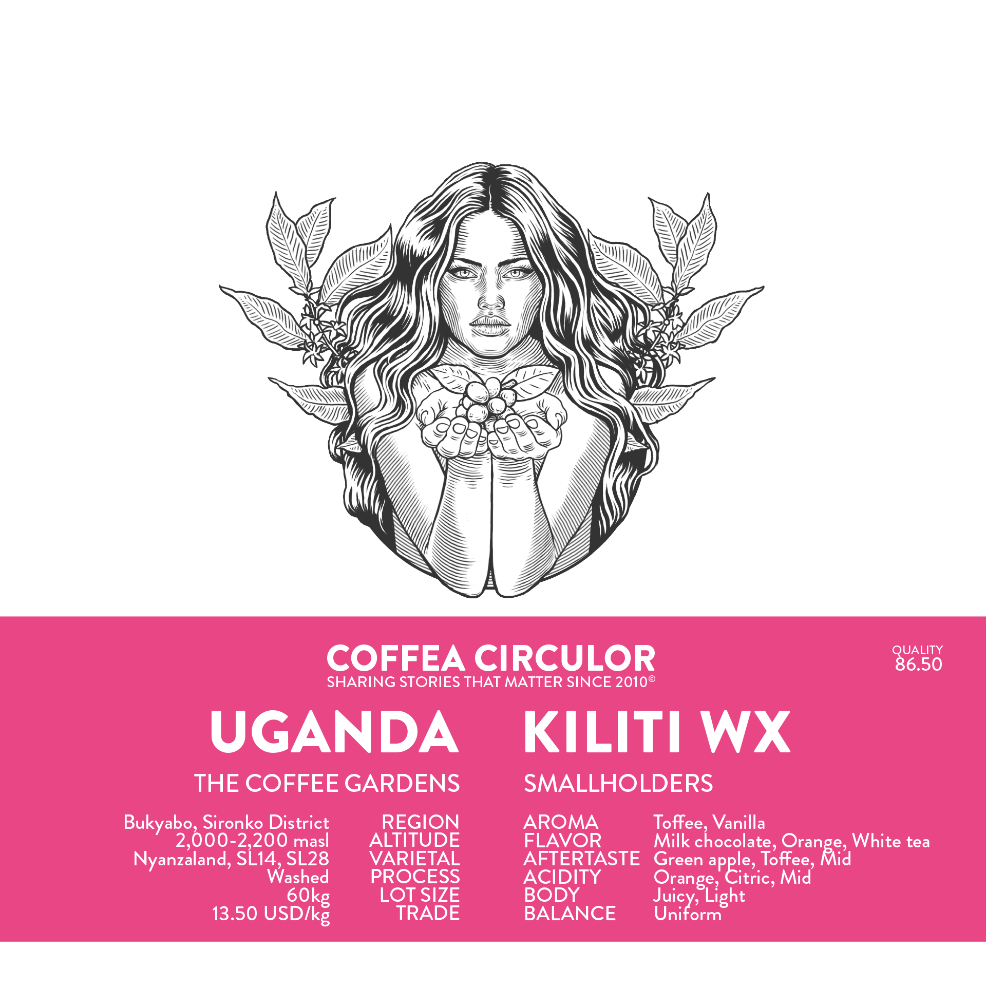 Uganda Kiliti Washed WX