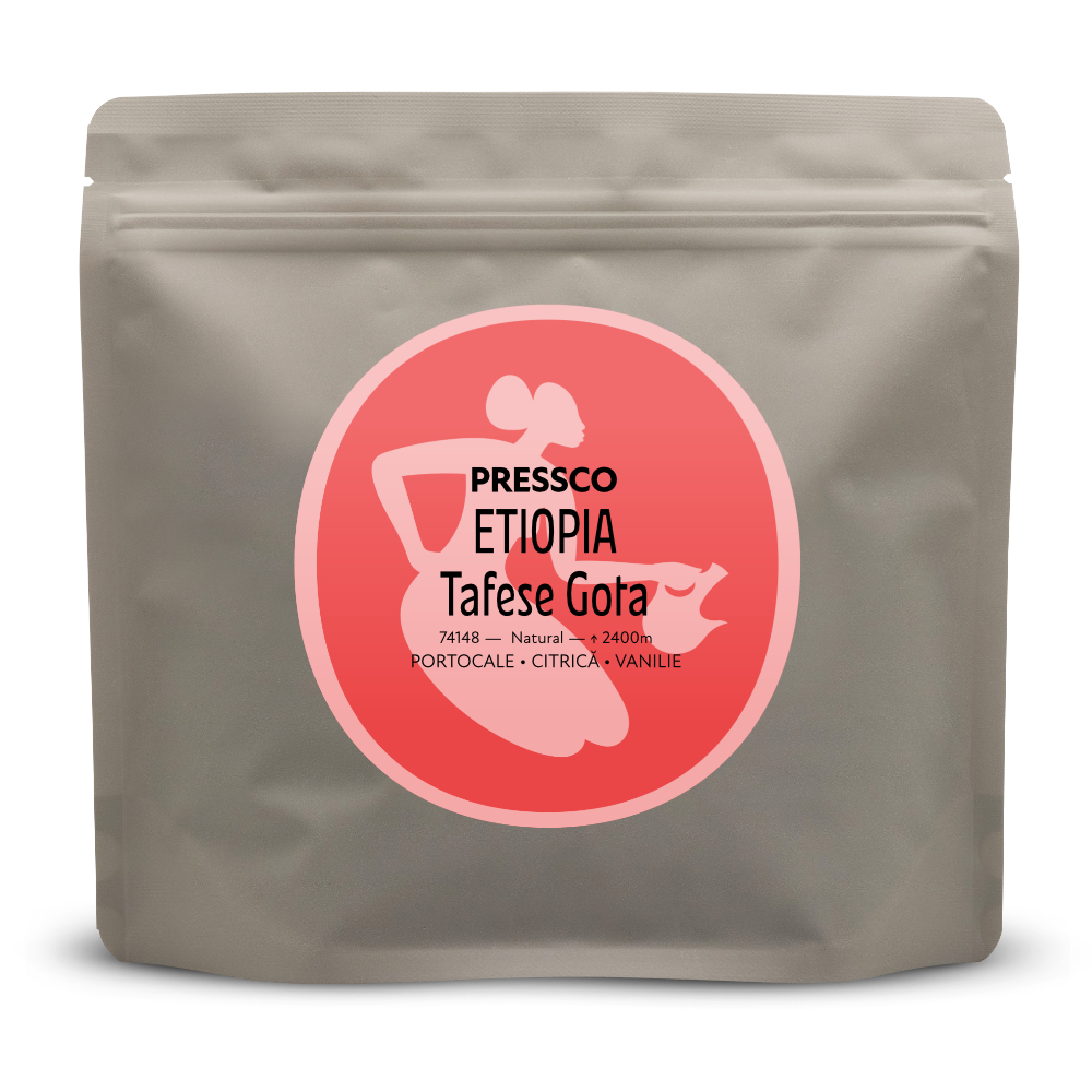 Ethiopia Tafese Gota