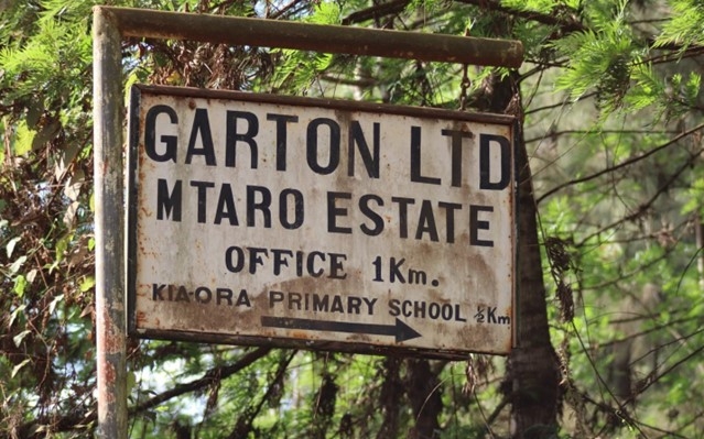 Mtaro