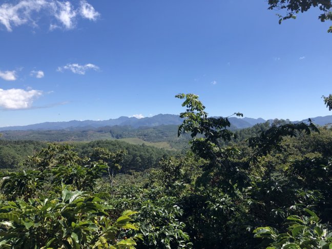 San Lorenzo