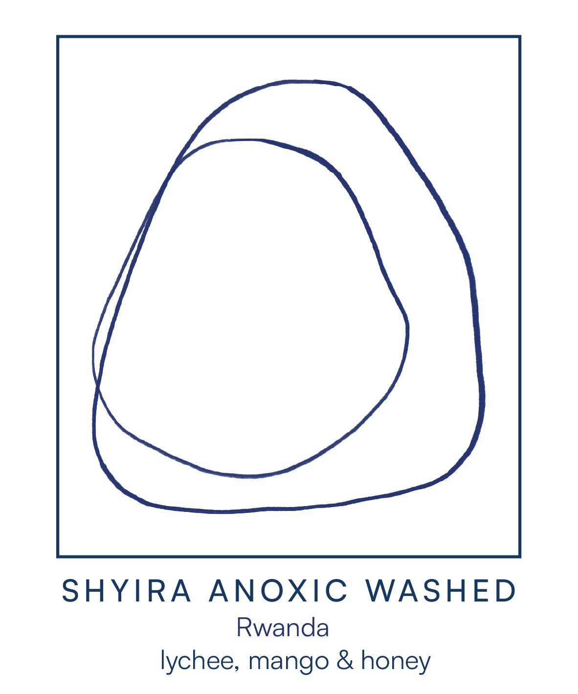 Shyira Anoxic Washed