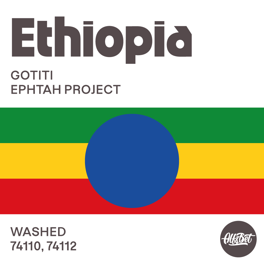 Ethiopia Gotiti Washed