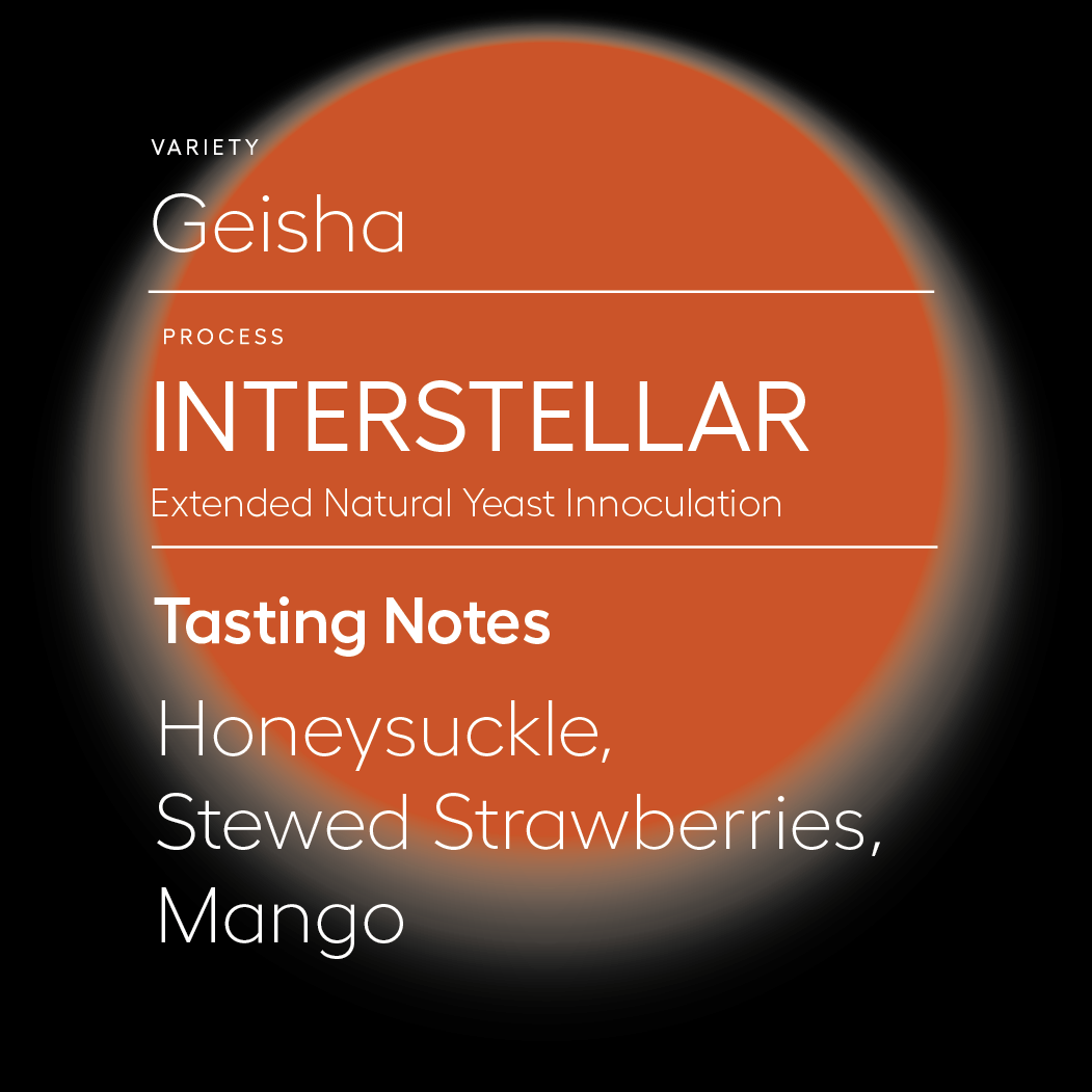 Interstellar | Yeast Natural Process Geisha