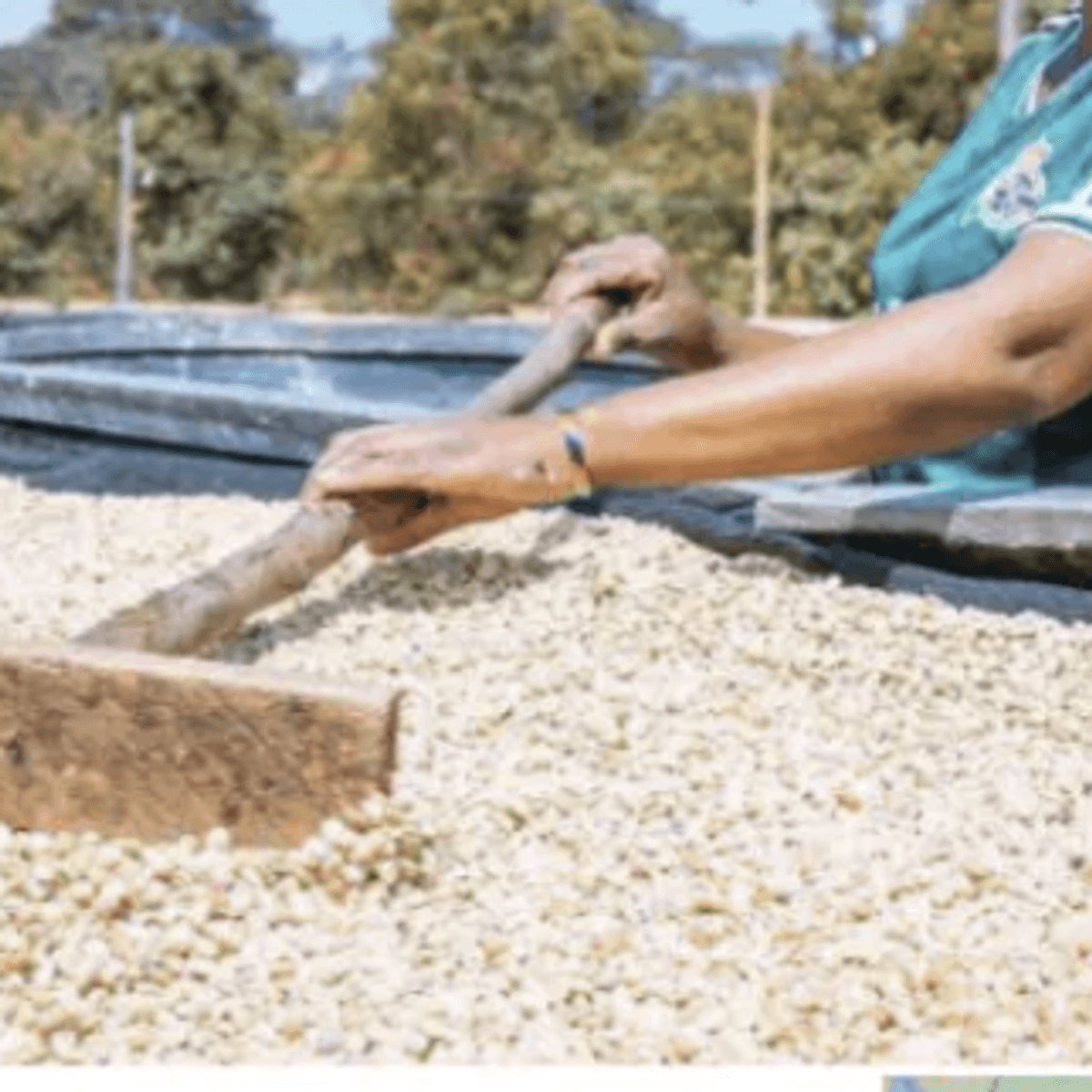 Tanzania Umalila Mbeya (Natural)