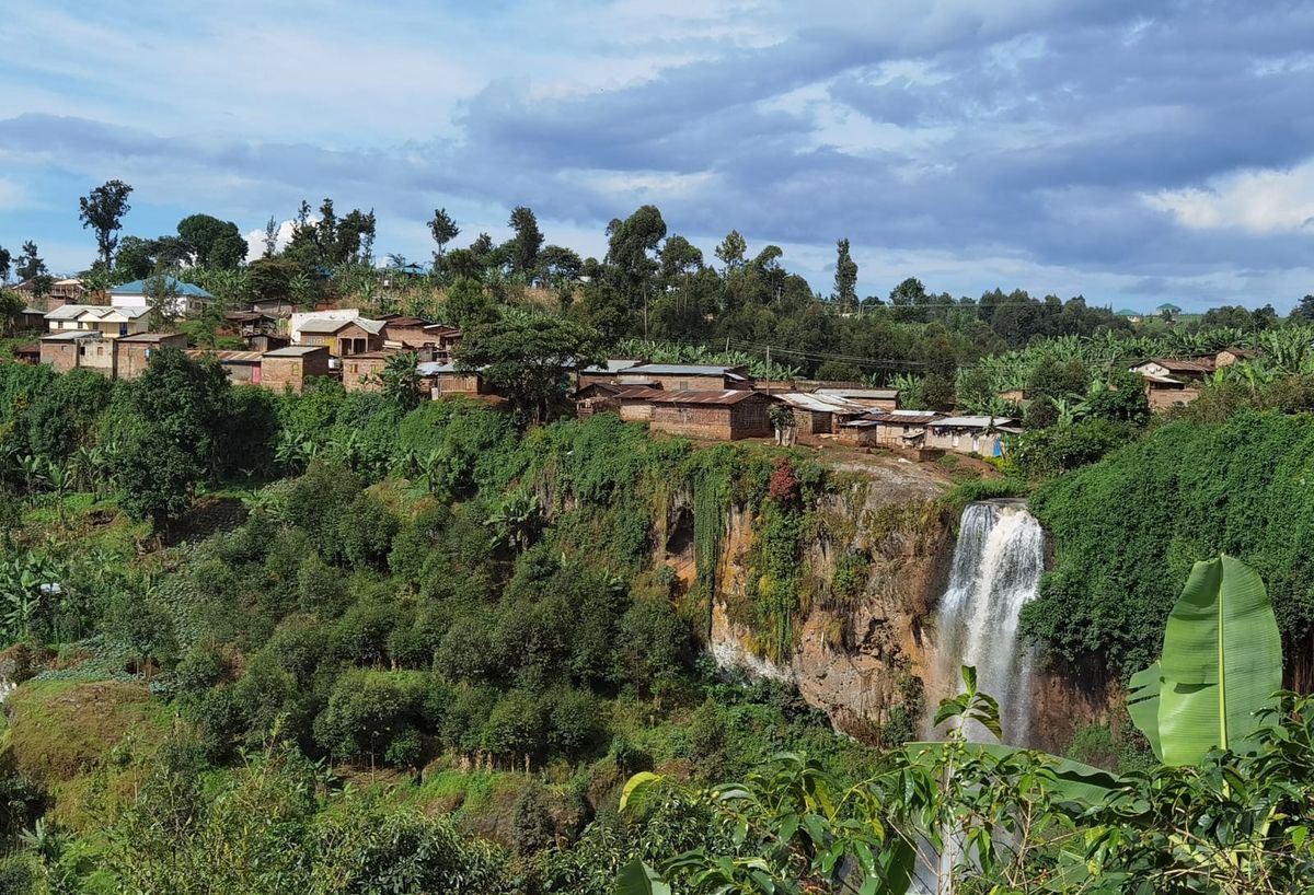 Uganda Bulambuli (Washed)