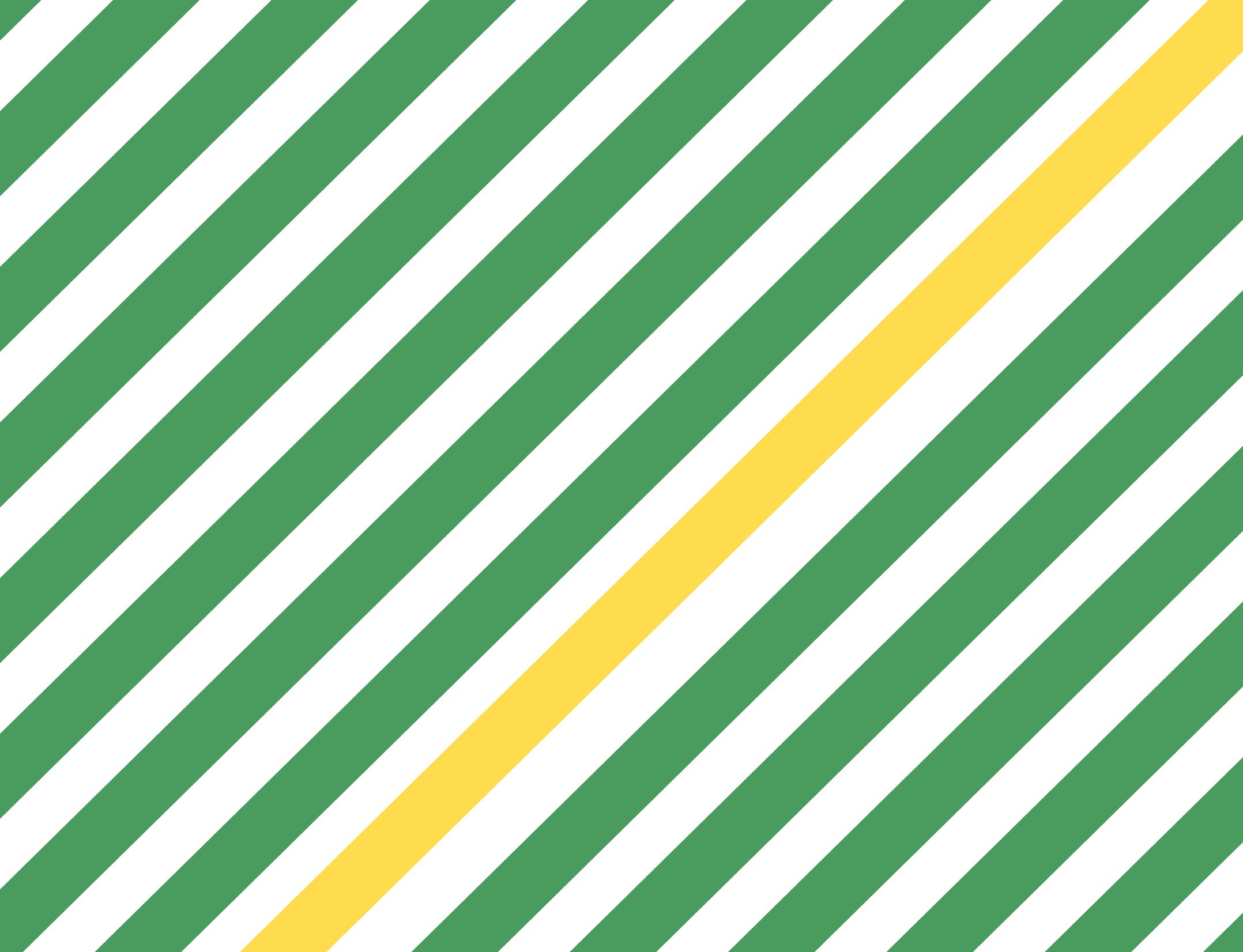 Brazil Yellow Bourbon