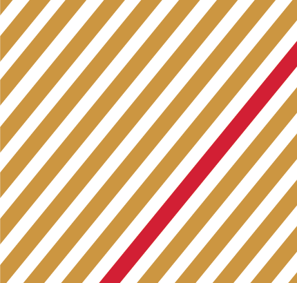Costa Rica Red Catuai – Filter