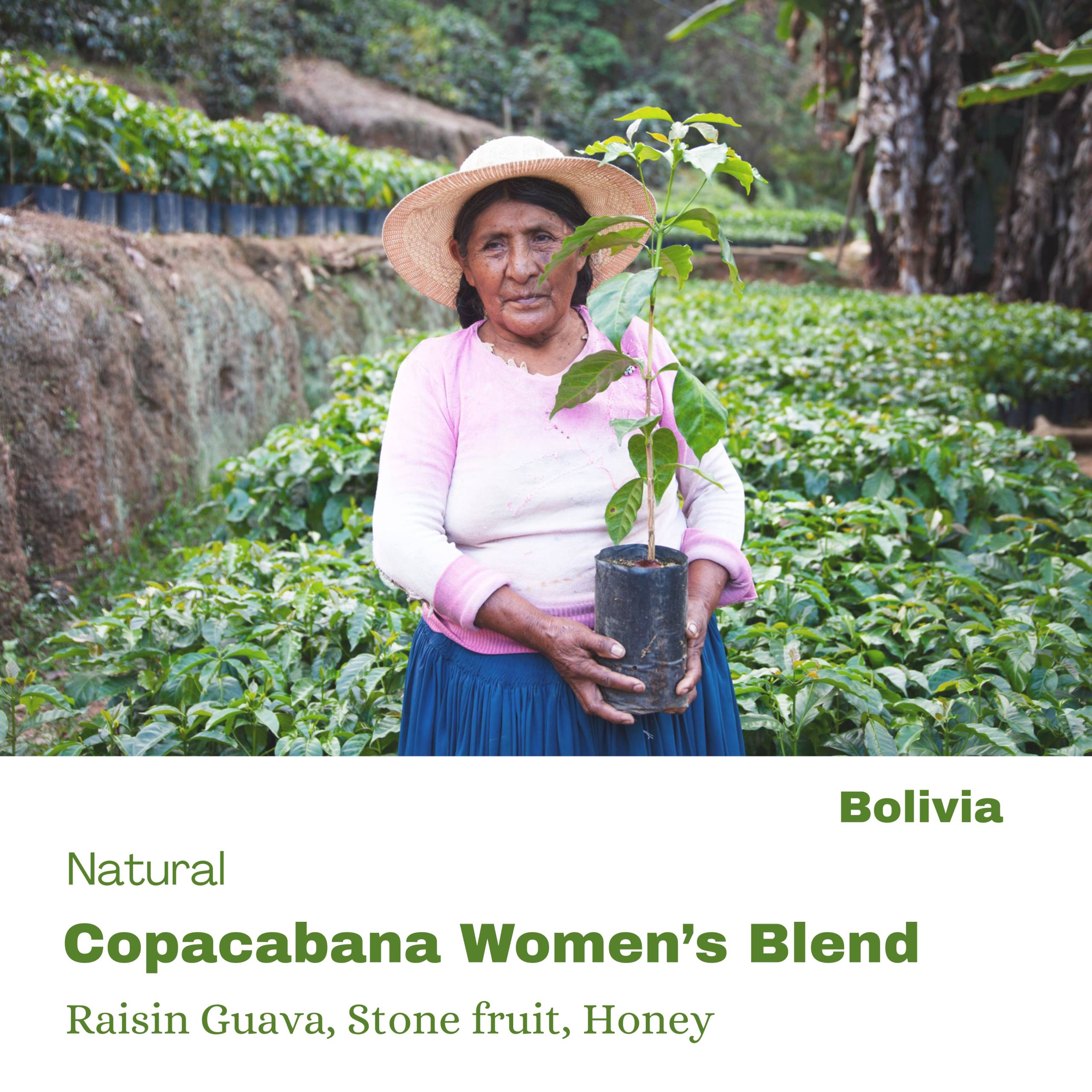 Copacabana Women’s Blend