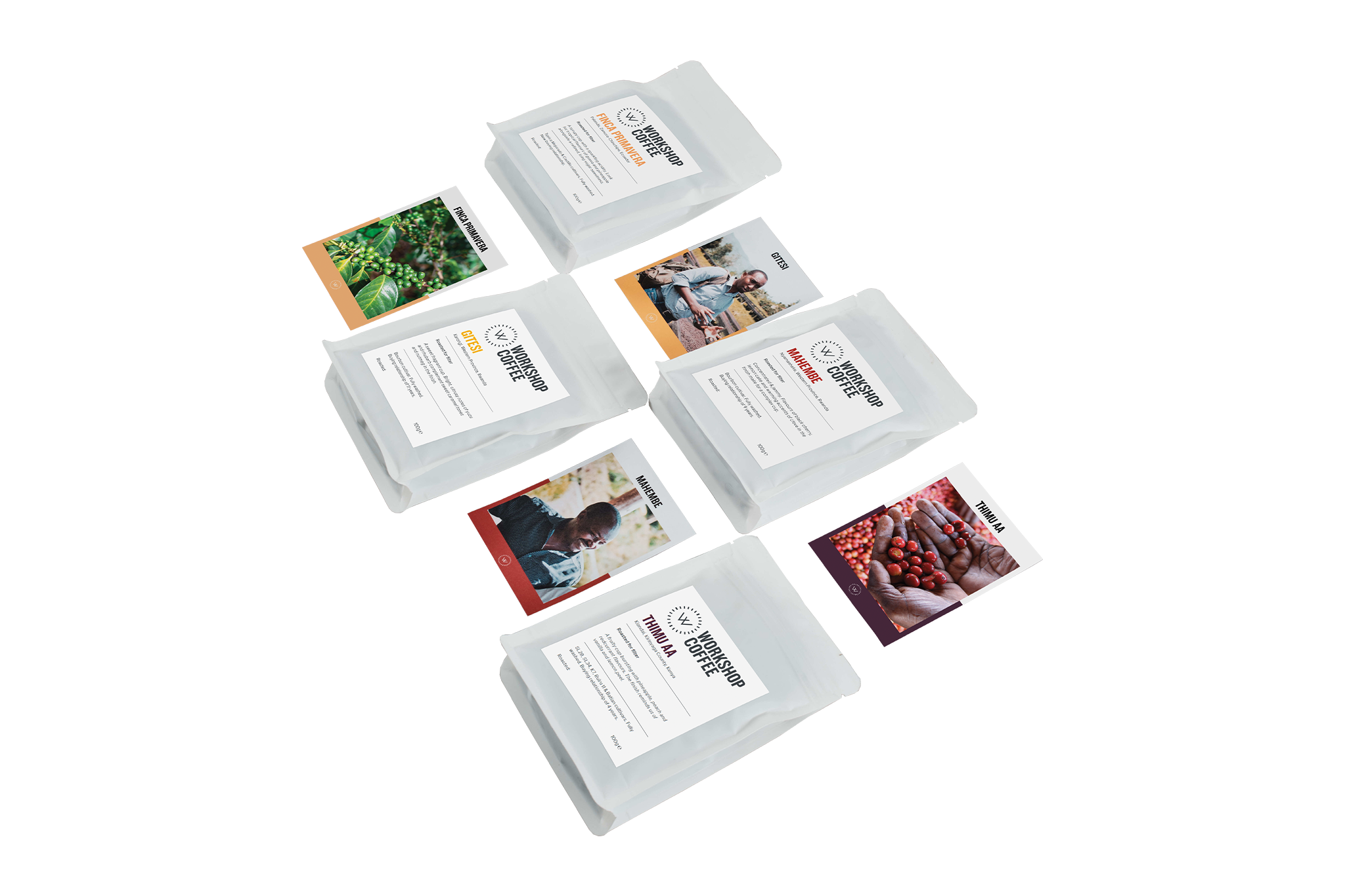 Filter Tasting Pack