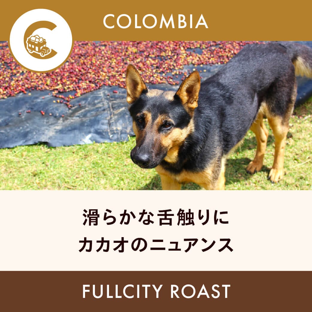 Colombia Gallinacera