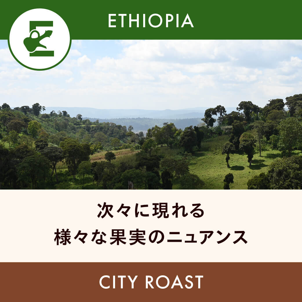 Ethiopia Goro Bedessa