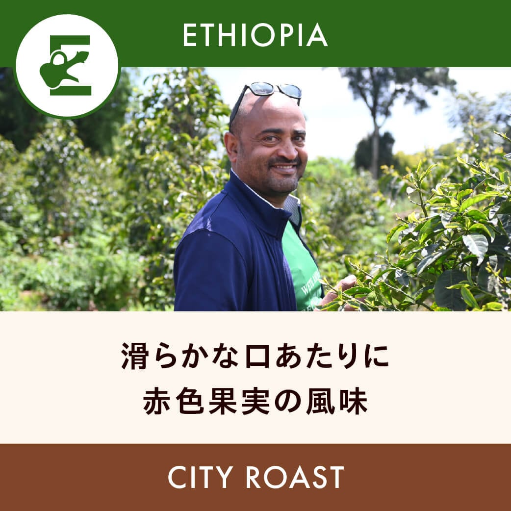 Ethiopia Buku Sayisa Natural