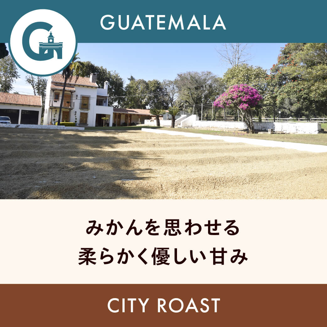 Guatemala Catalán de las Mercedes