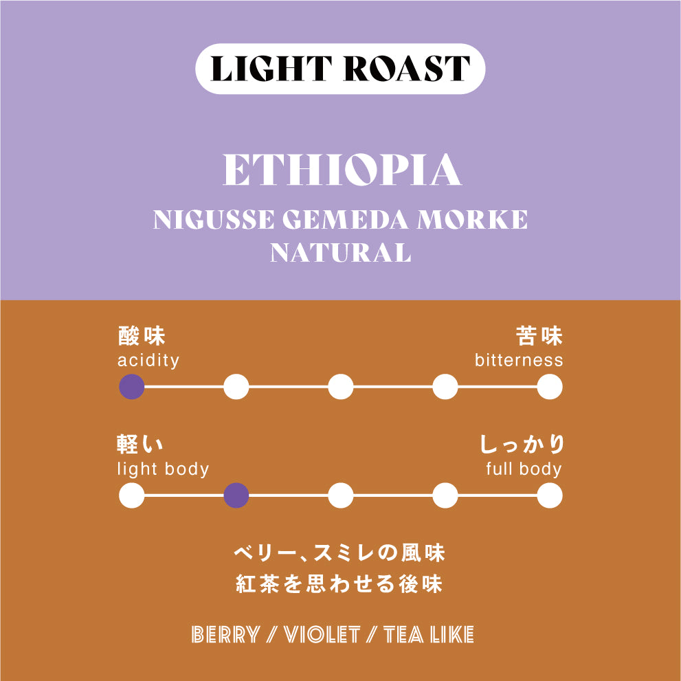 Ethiopia Nigusse Gemeda Morke Natural
