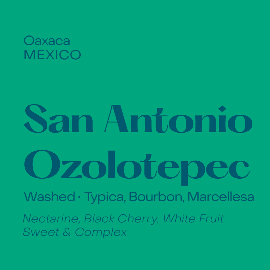 San Antonio Ozolotepec, Mexico Washed Field Blend
