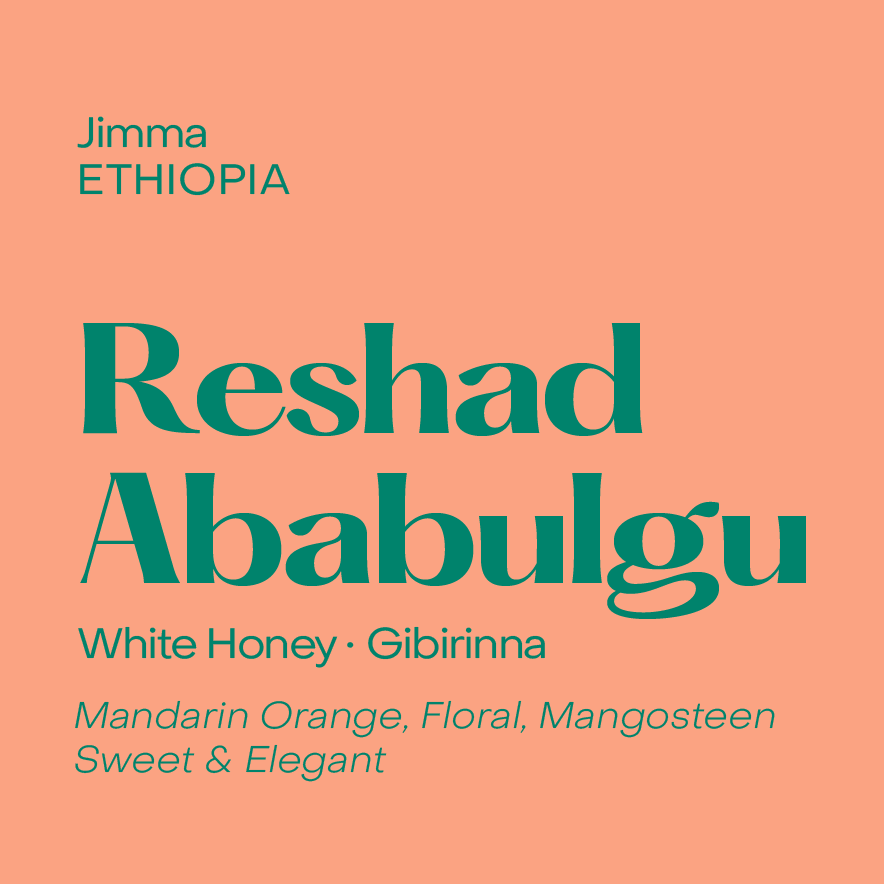 Ethiopia Reshad Ababulgu, White Honey Gibirinna