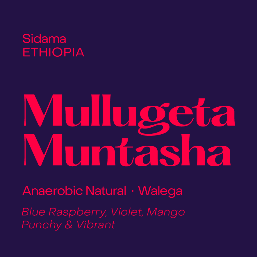 Ethiopia Mullugeta Muntasha, Anaerobic Natural Walega