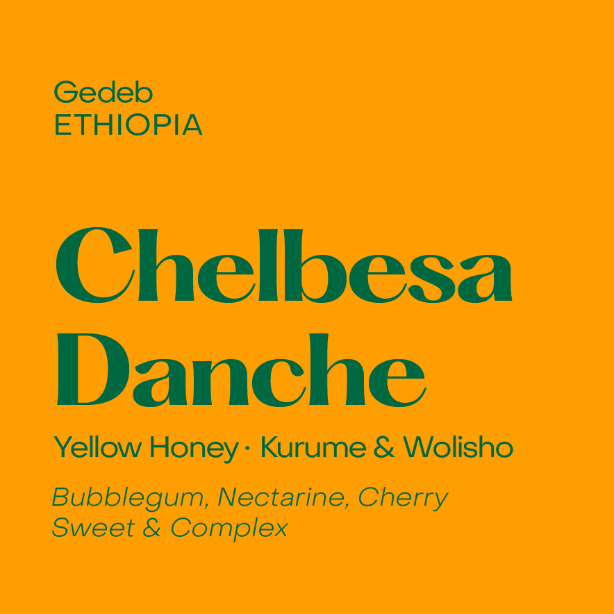 Chelbesa Danche, Ethiopia Yellow Honey Washed Kurume & Wolisho (October 1st Roast)