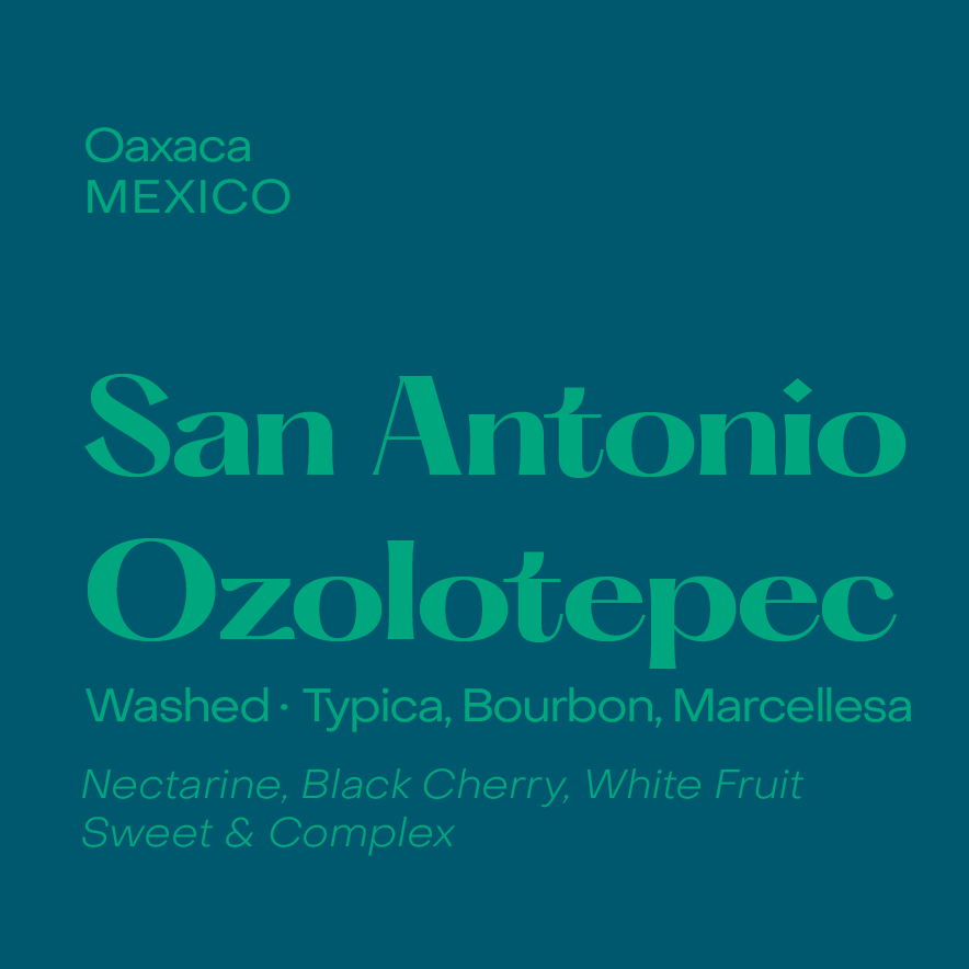 San Antonio Ozolotepec Espresso, Mexico Washed Field Blend