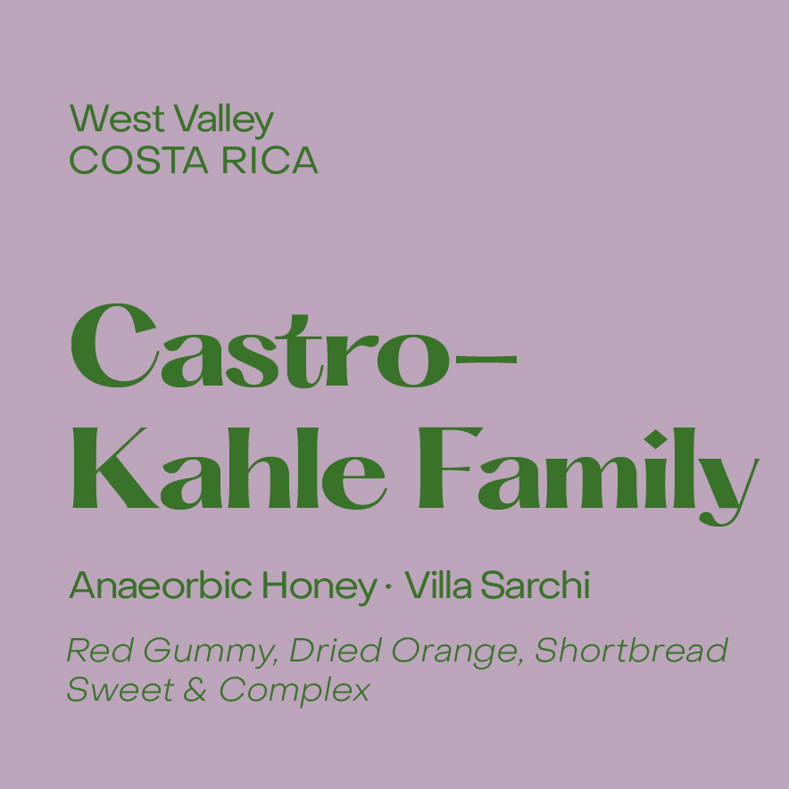 Castro-Kahle Family, Costa Rica Anaerobic Honey Villa Sarchi