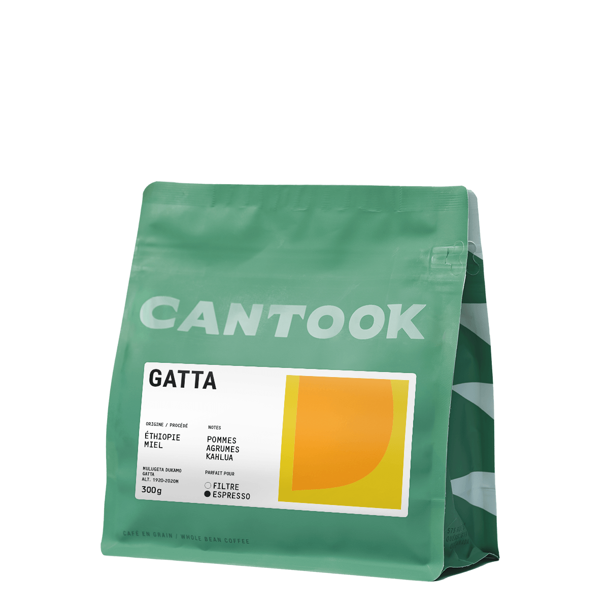 Gatta