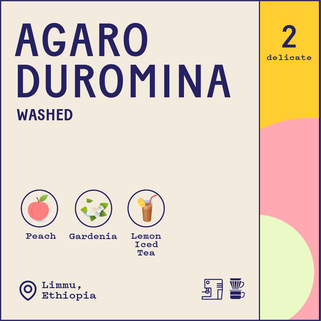 Ethiopia Agaro Duromina Washed
