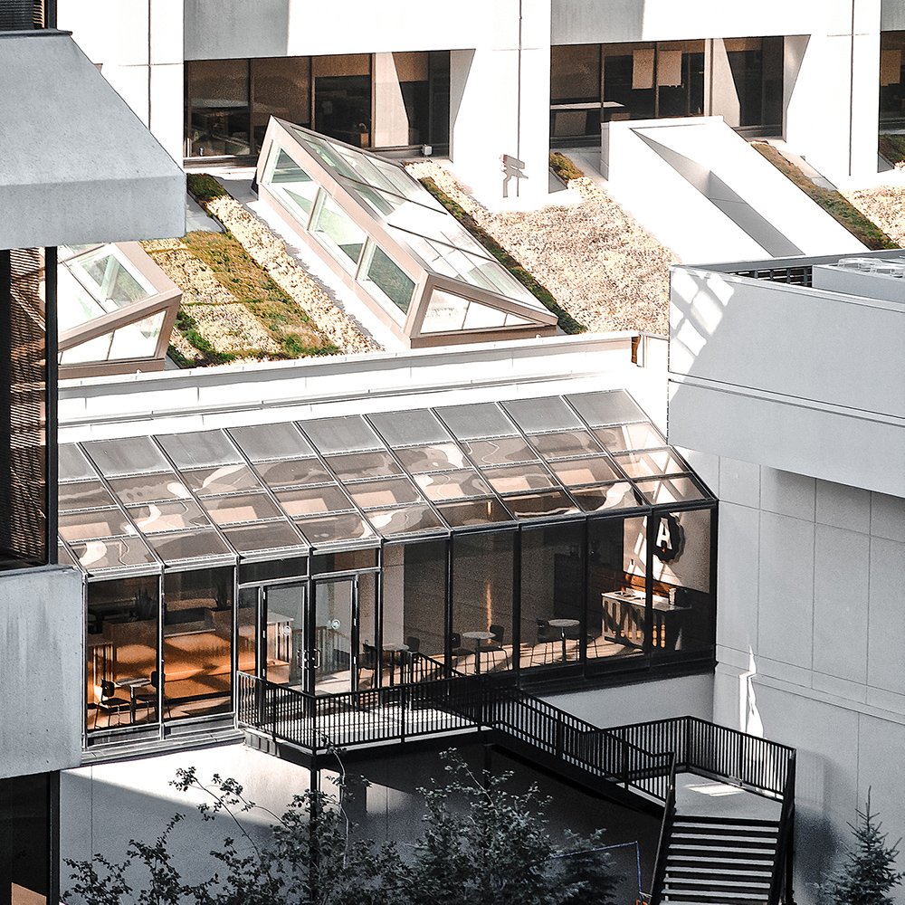 Analog Coffee – Bow Valley Square