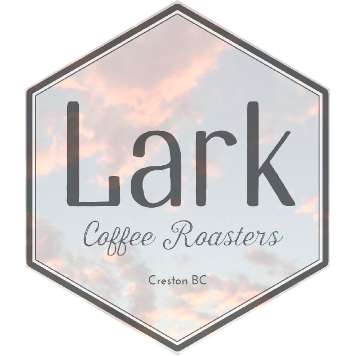 Lark Coffee Roasters – Roasting Studio