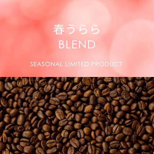 Haru Urara Blend