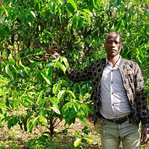 Ethiopia Aliye Gobena Natural