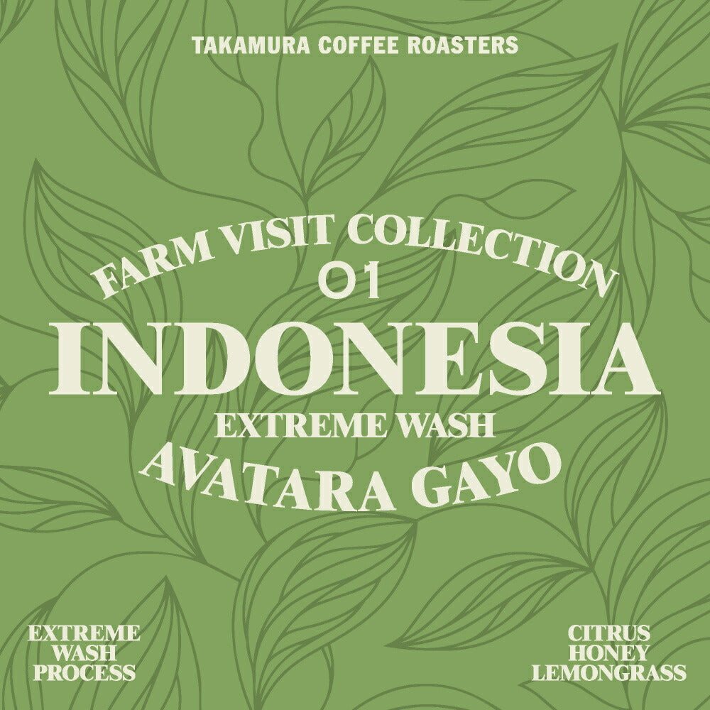 Indonesia Gayo Avatara Extreme Wash