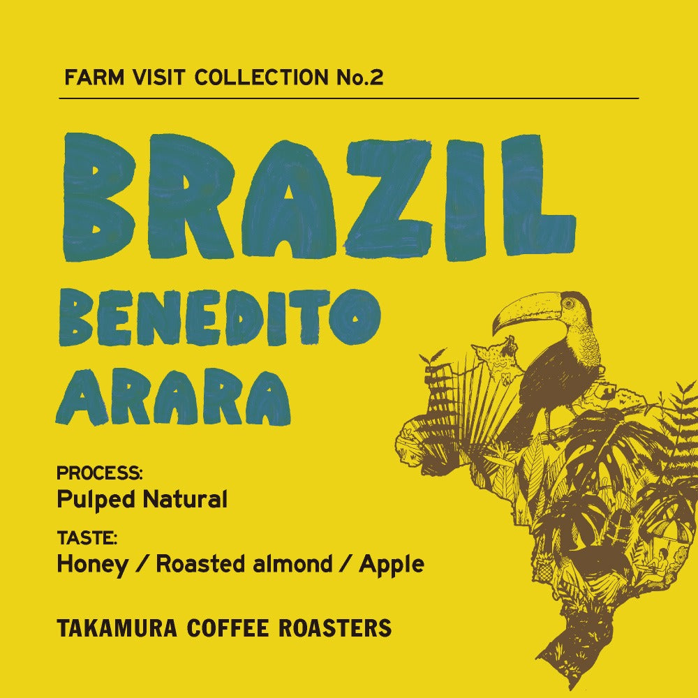 Brazil Benedito Arara