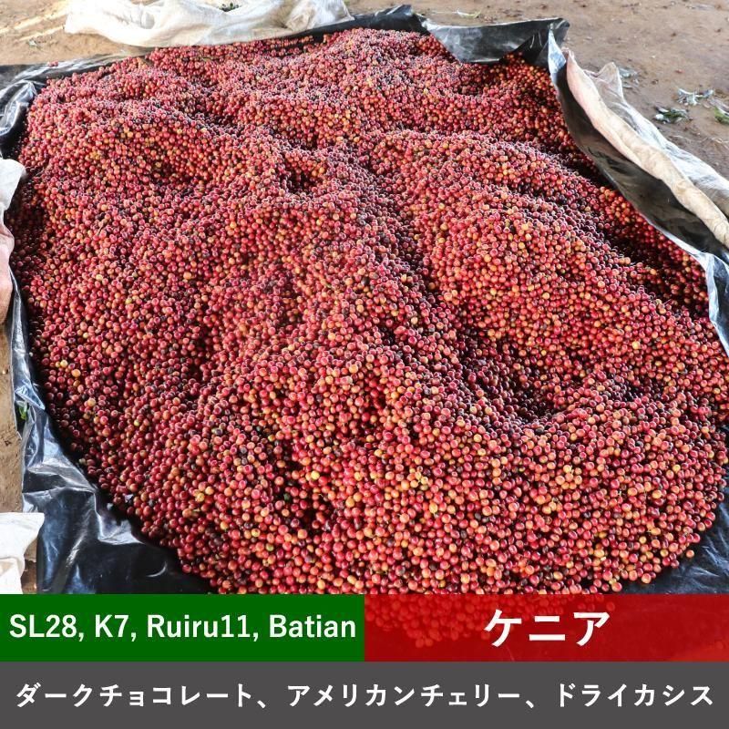 Kenya Sunguri Medium-Dark