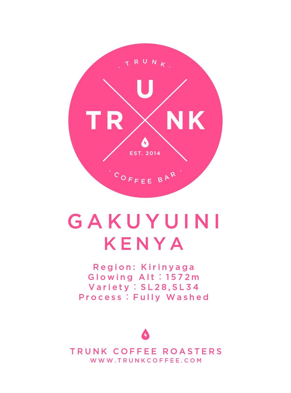 Kenya Gakuyuini SL28 SL34 Washed