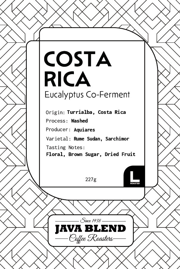 Costa Rica Eucalyptus Co-Ferment