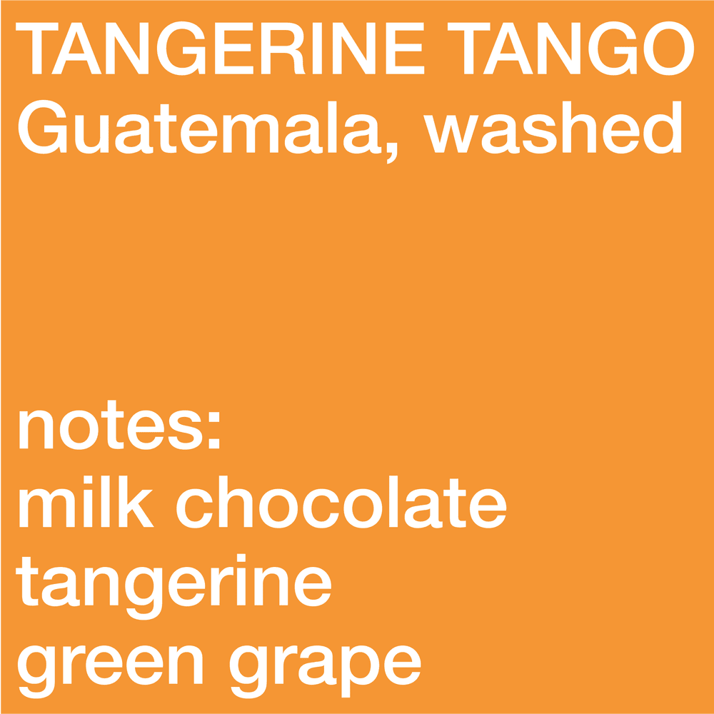 Tangerine Tango - Guatemala, Castillo, Washed