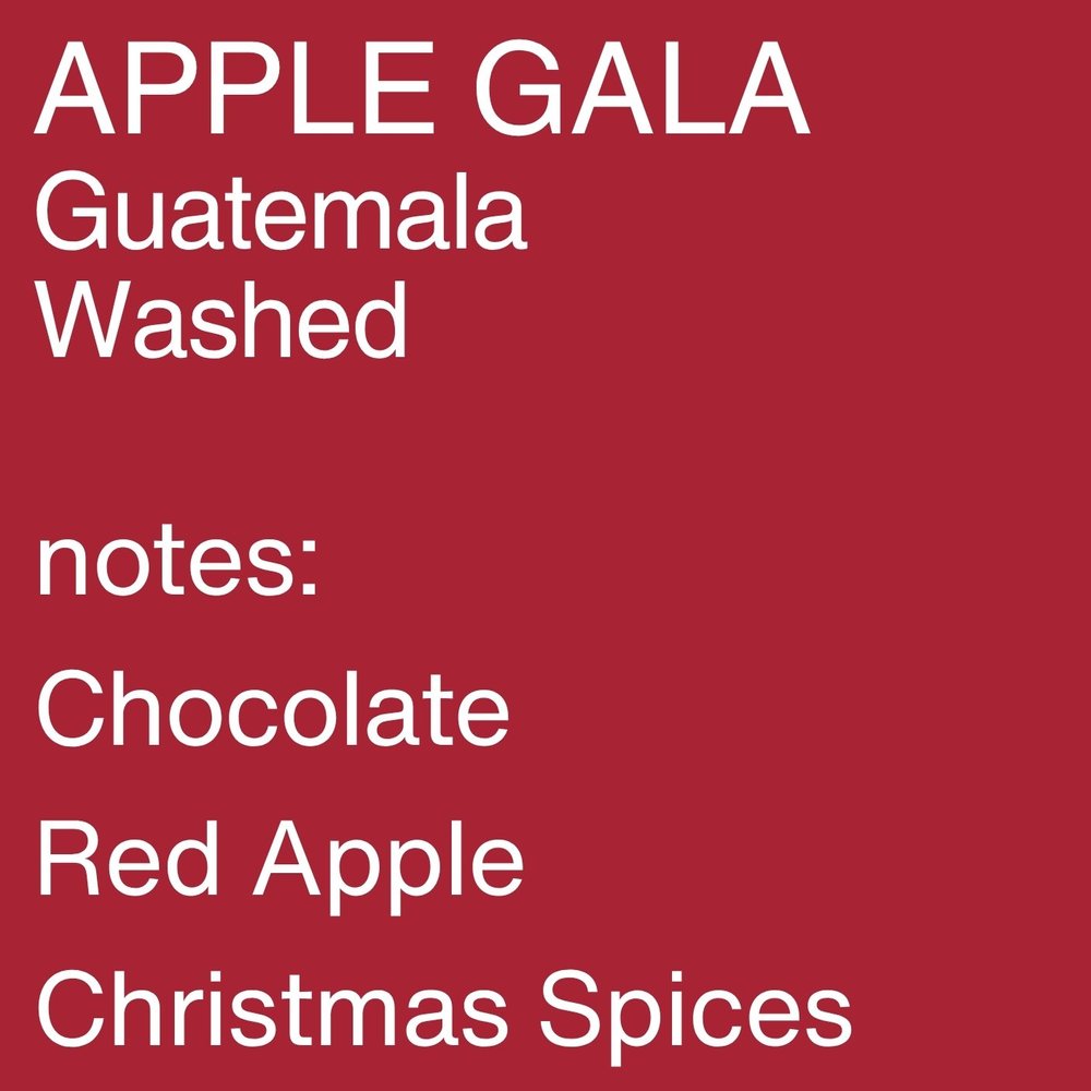 Apple Gala - Guatemala, Mixed, Washed