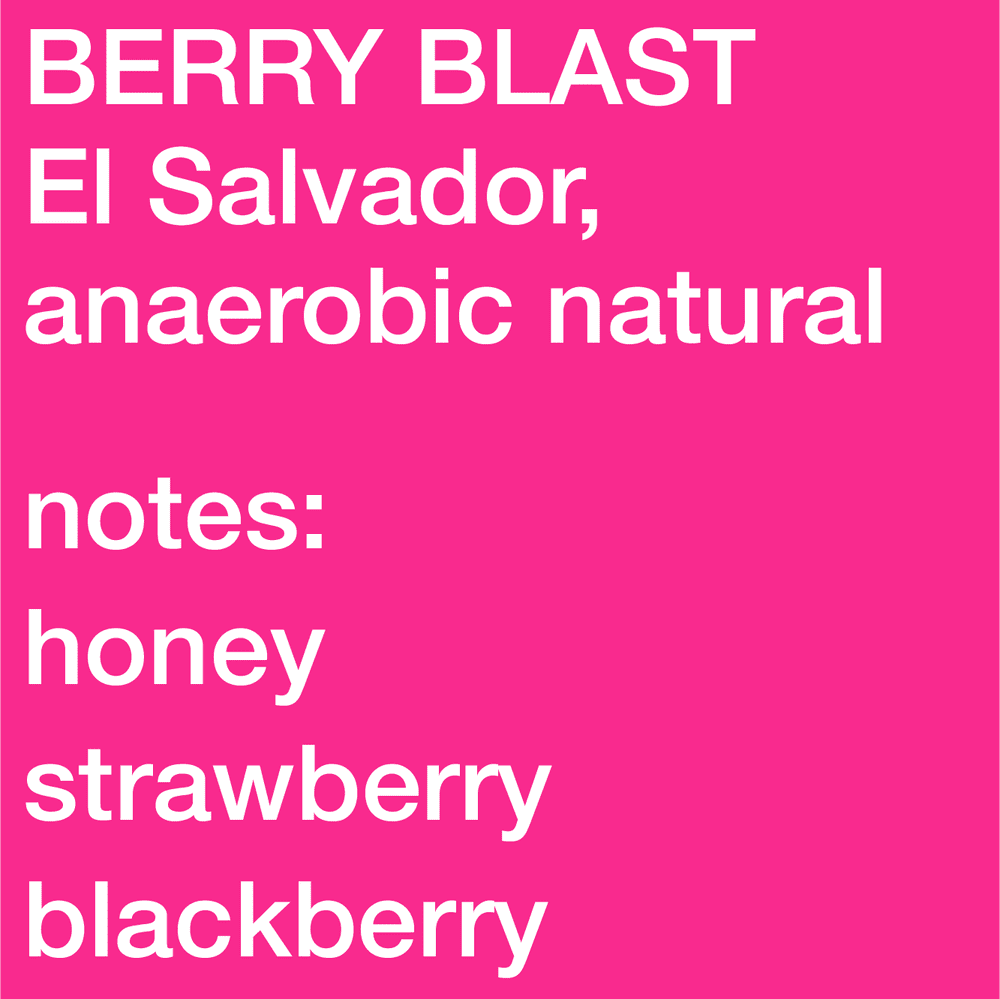 Berry Blast - El Salvador, Pacamara, Anaerobic Natural