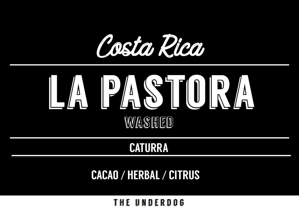 Costa Rica, La Pastora, 200 g