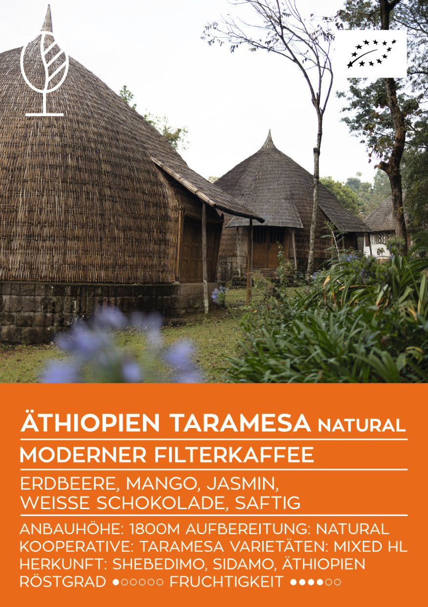 ÄTHIOPIEN TARAMESA NATURAL | Moderner Filterkaffee | Single Origin