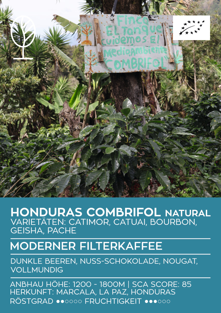 Honduras Combrifol Natural | Moderner Filterkaffee | Single Origin