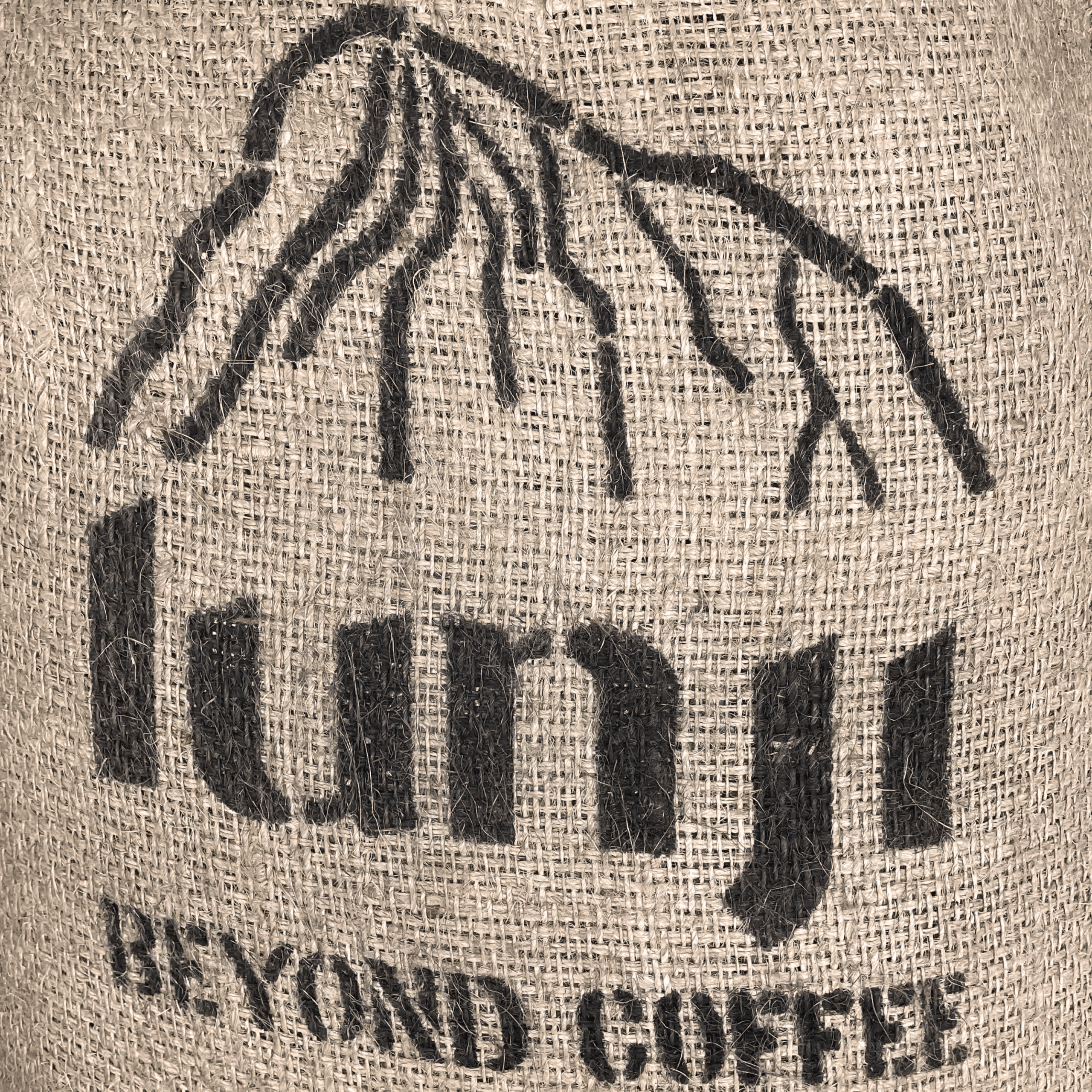 Tanzania Lunji Estate AA