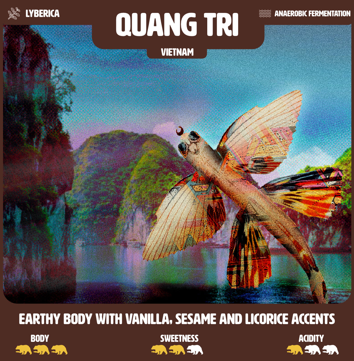 Quang Tri - Vietnam