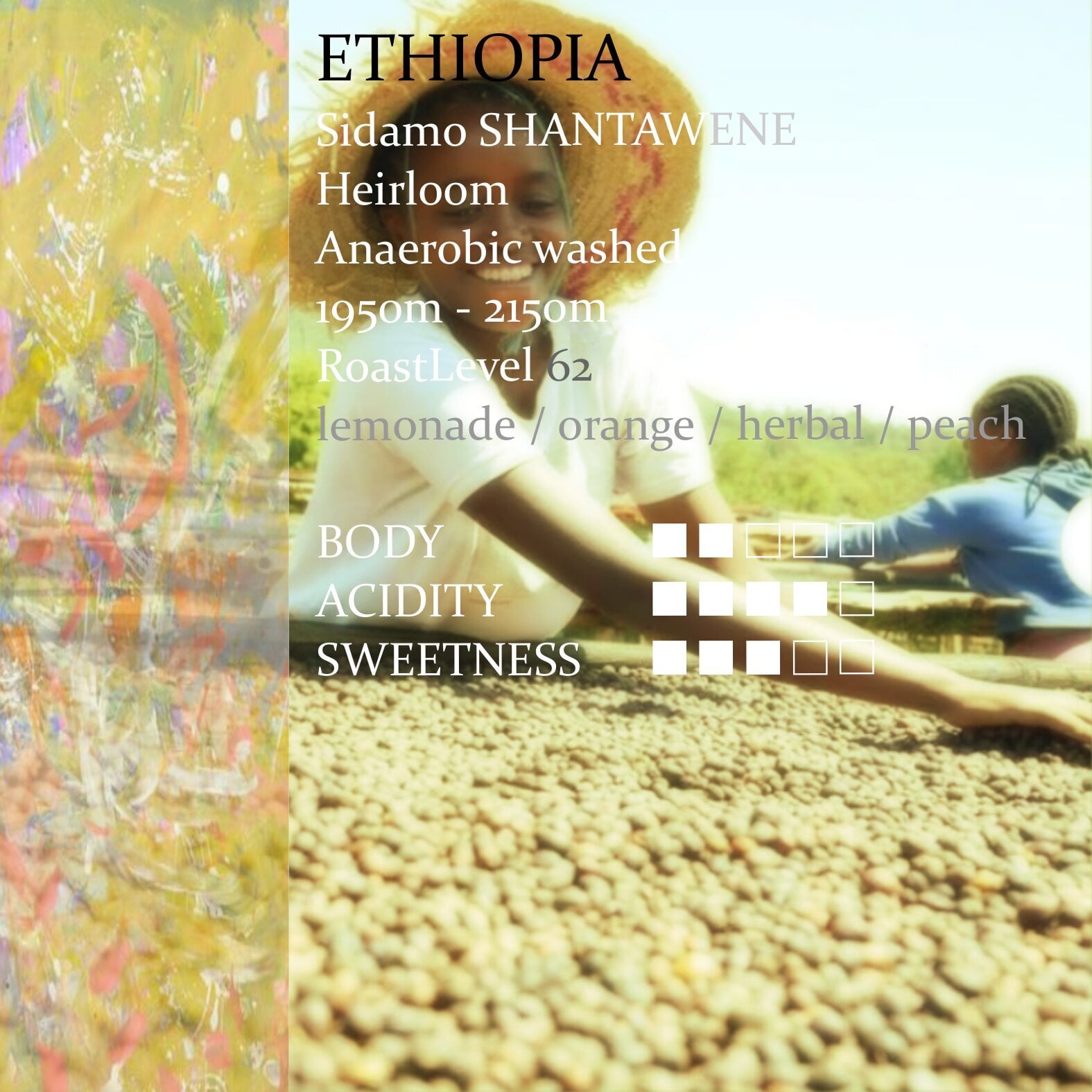 Ethiopia Shantawene Anaerobic Washed