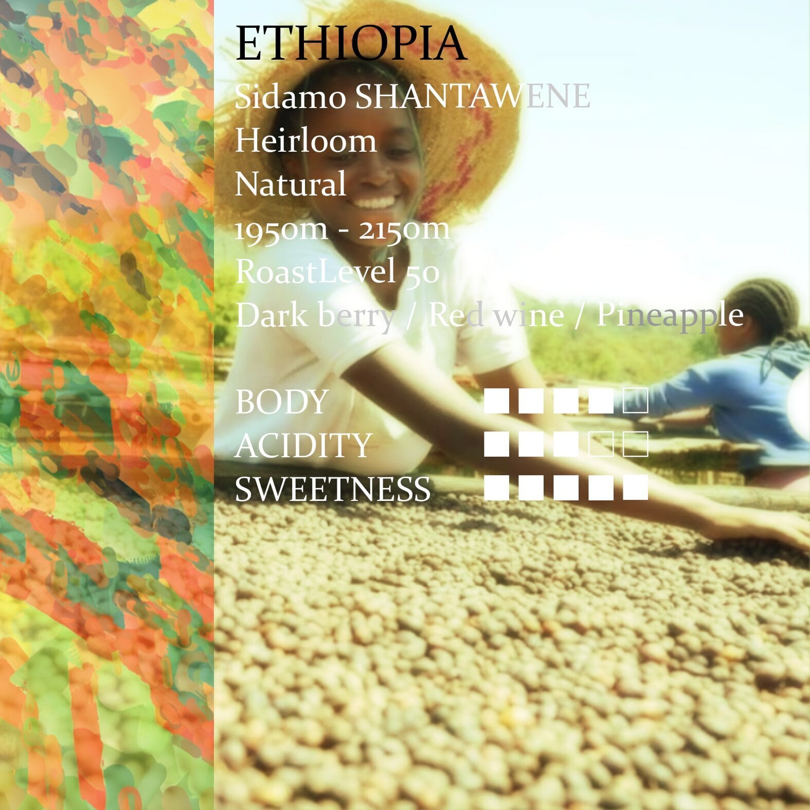 Ethiopia Shantawene Natural