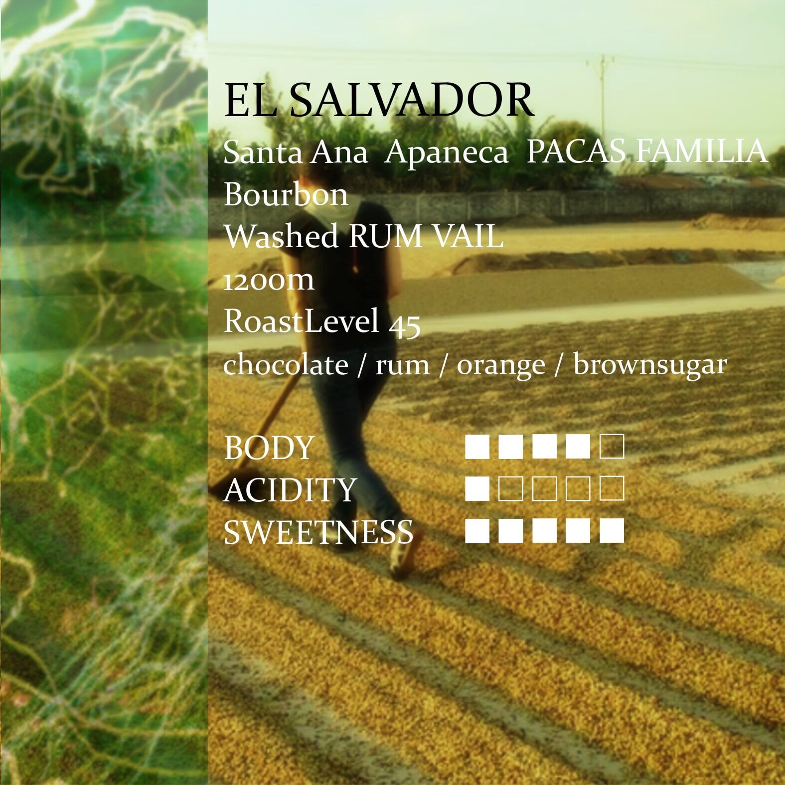 El Salvador Pacas Family Rum Barrel