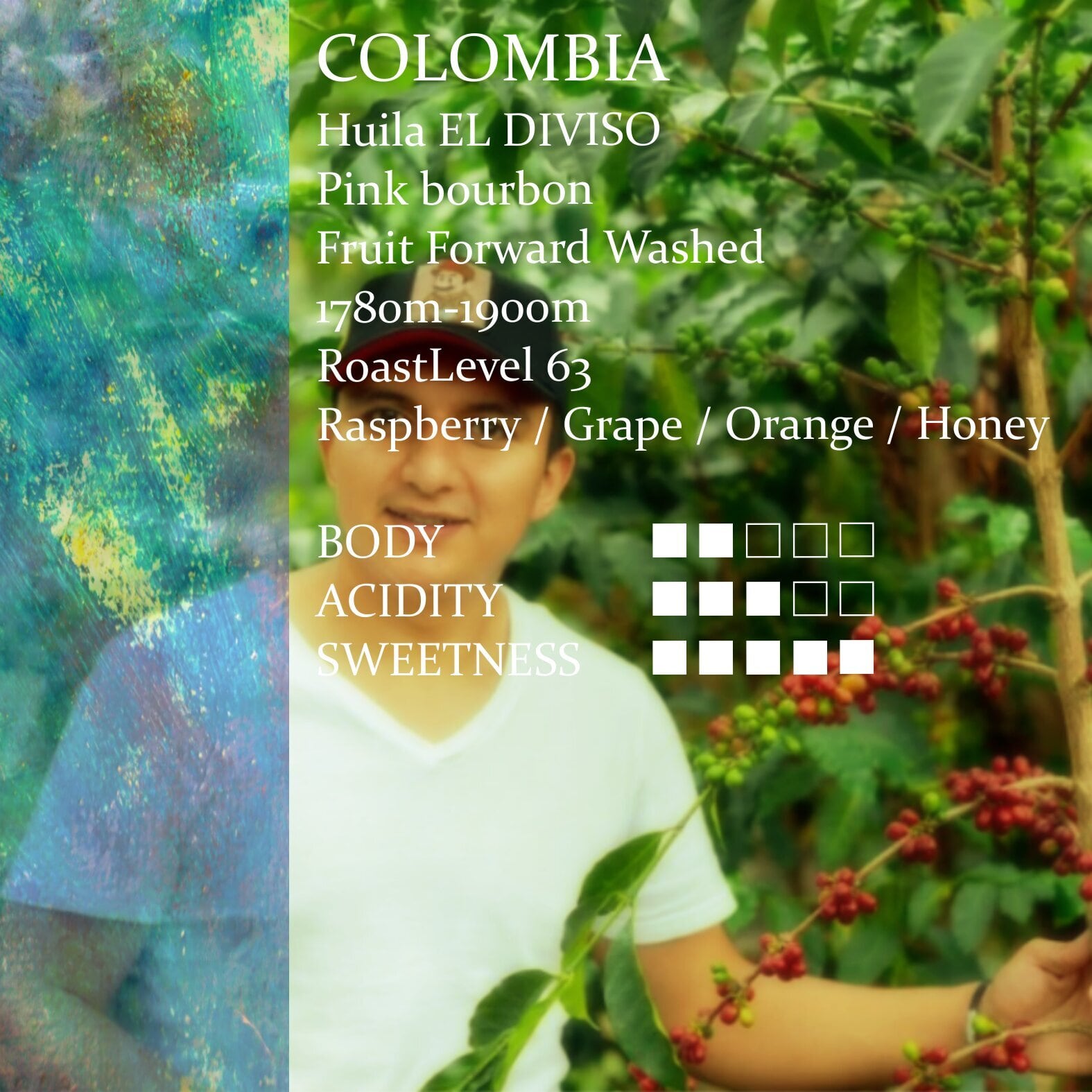 Colombia El Diviso Fruit Forward Washed